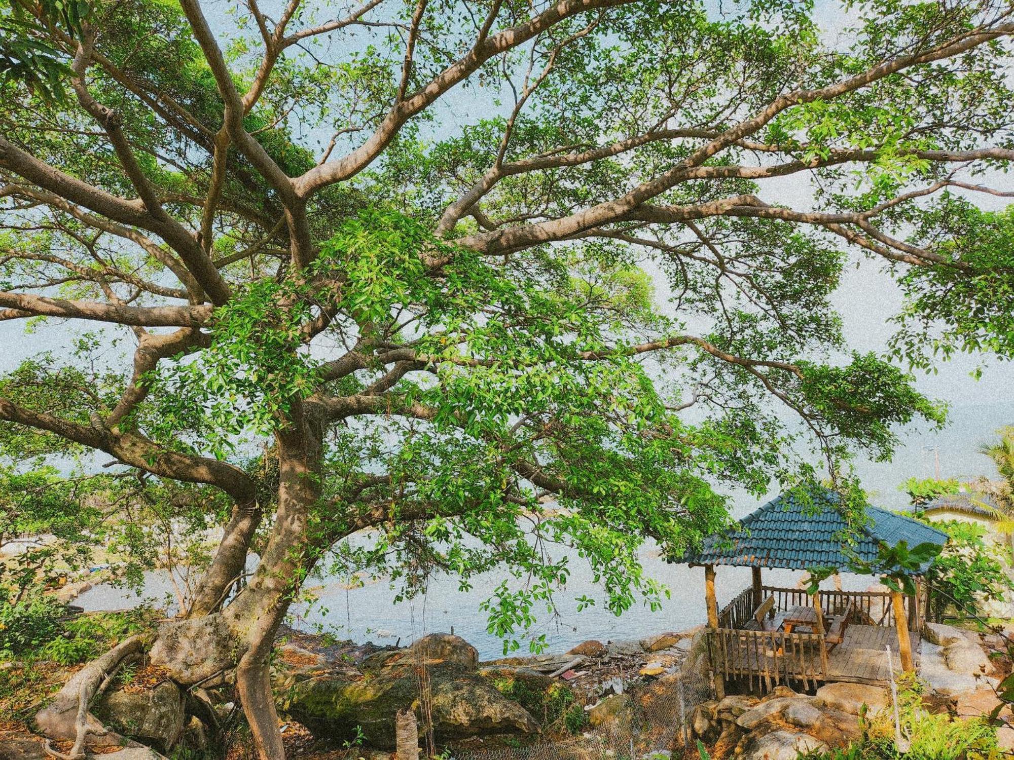 Voyage Phu Quoc Beach Resort Dış mekan fotoğraf